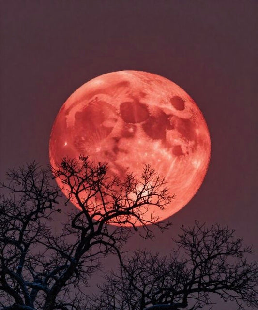 Blood Full Moon Total Lunar Eclipse - 3rd March-  🌕 Dreams, Transcendence and Intuition